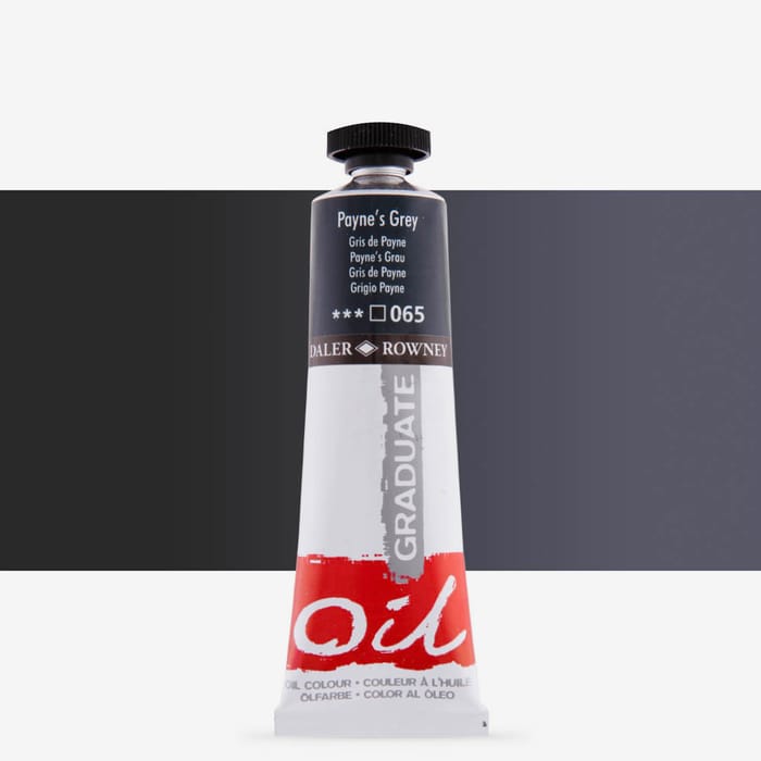 Daler Rowney Graduate Oil Colour Paint Metal Tube (38ml, Paynes Grey-065)