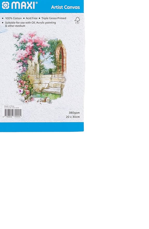 Maxi Stretched Painting Canvas White, 20X30cm, Mx-Cnv3-2030